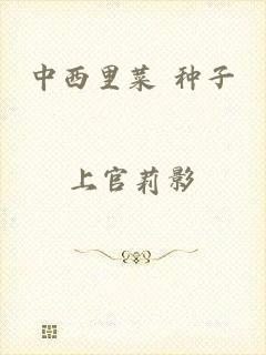 中西里菜 种子